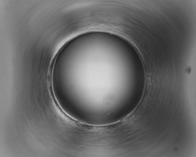 X0000115631531200911101426