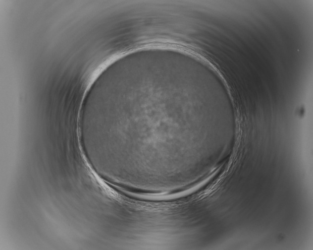 X0000115631533200911101426