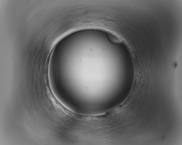 X0000115631534200911101426