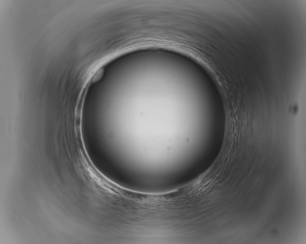 X0000115631535200911101426