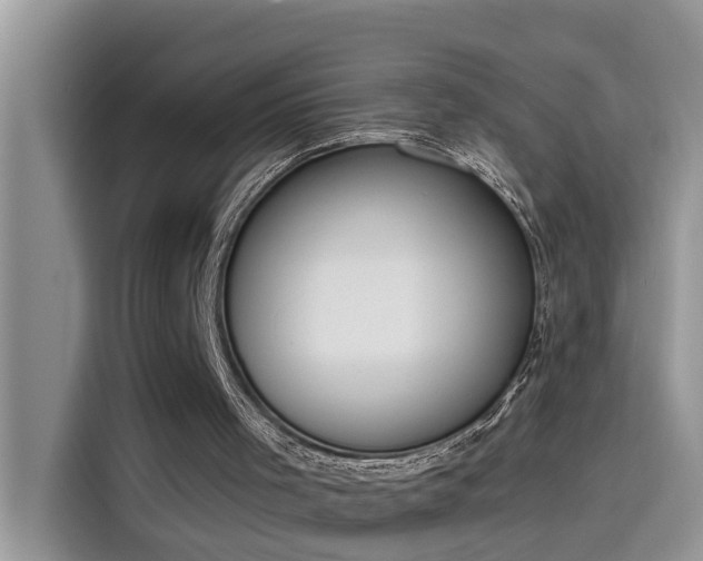 X0000115630001200911171345