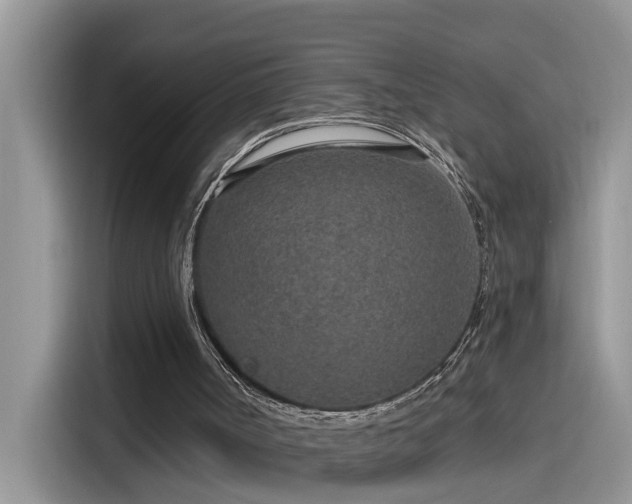 X0000115630002200911171345