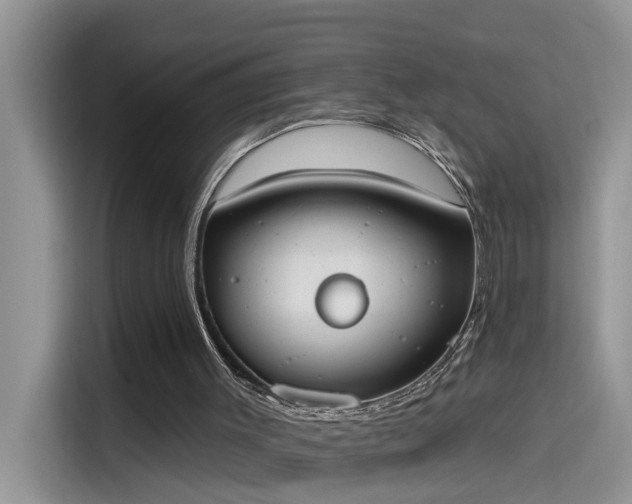 X0000115630003200911171345