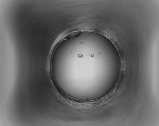 X0000115630004200911171345