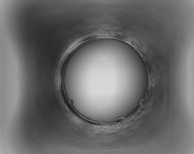 X0000115630005200911171345