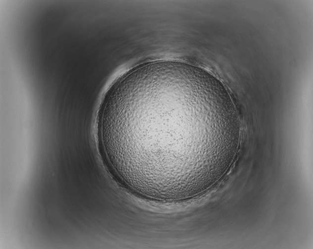 X0000115630006200911171345