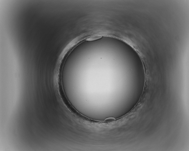 X0000115630007200911171345