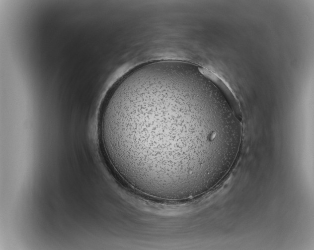 X0000115630008200911171345