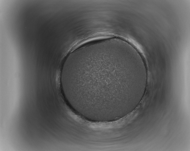 X0000115630009200911171345