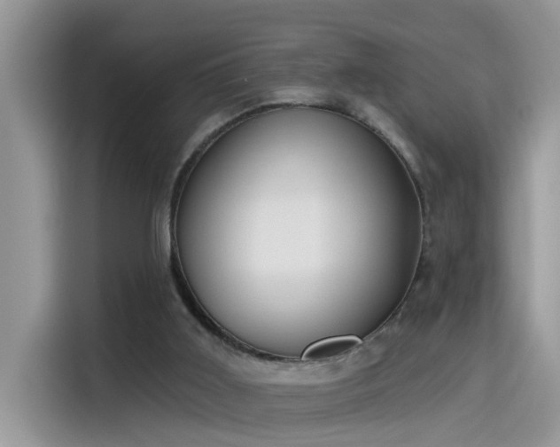 X0000115630011200911171345