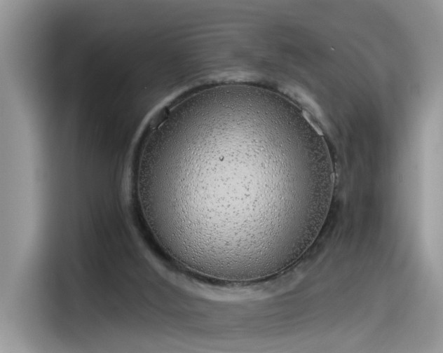 X0000115630012200911171345