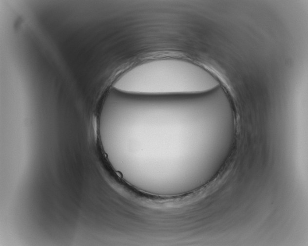 X0000115630013200911171345