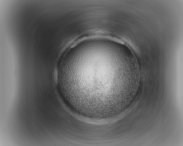 X0000115630014200911171345