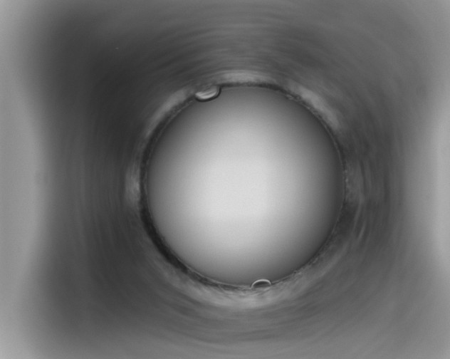 X0000115630015200911171345