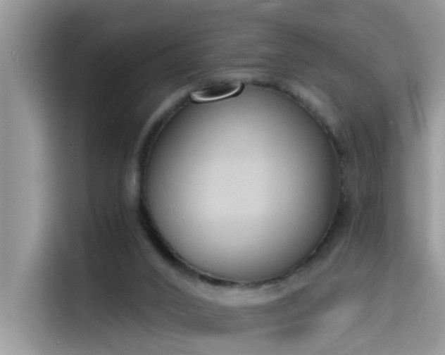 X0000115630016200911171345