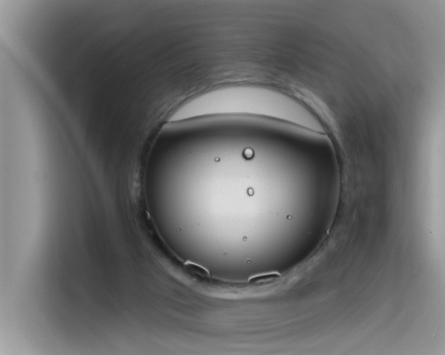 X0000115630017200911171345