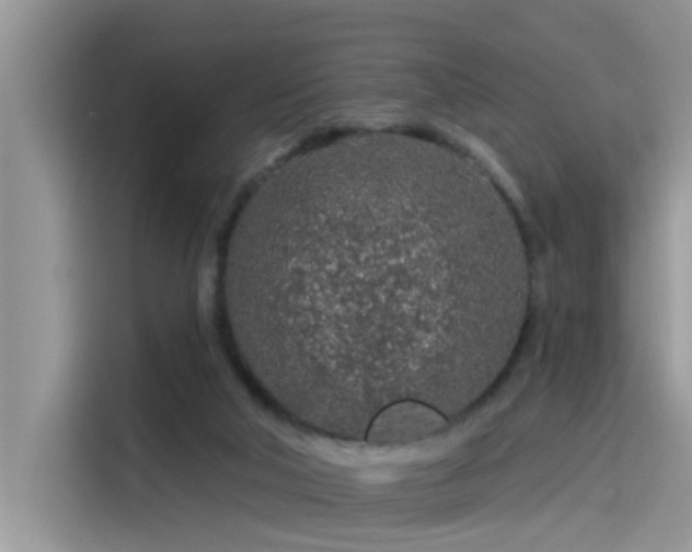 X0000115630018200911171345