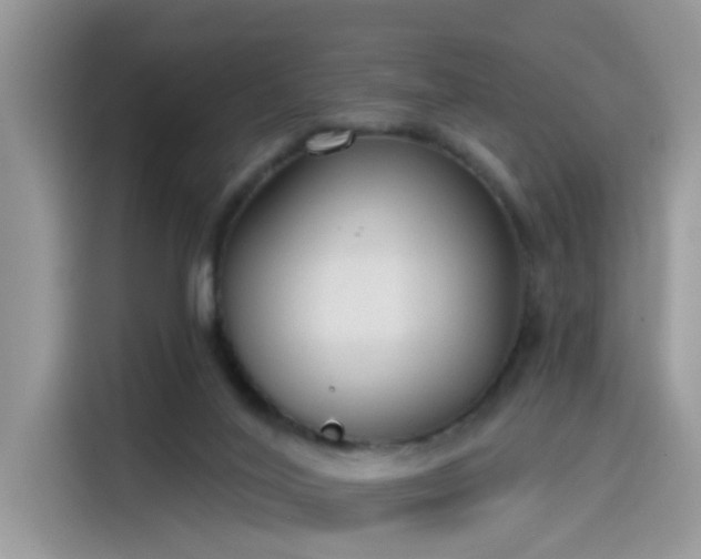 X0000115630020200911171345