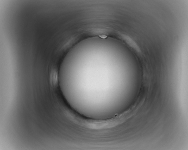 X0000115630021200911171345