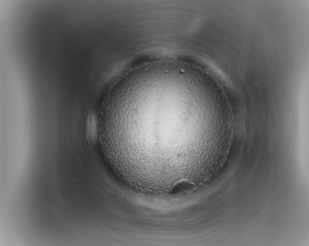 X0000115630022200911171345