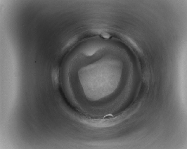 X0000115630023200911171345