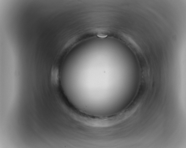 X0000115630024200911171345