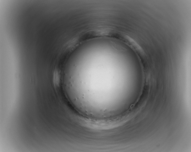 X0000115630026200911171345