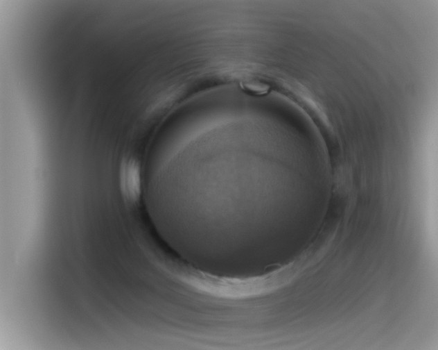 X0000115630027200911171345