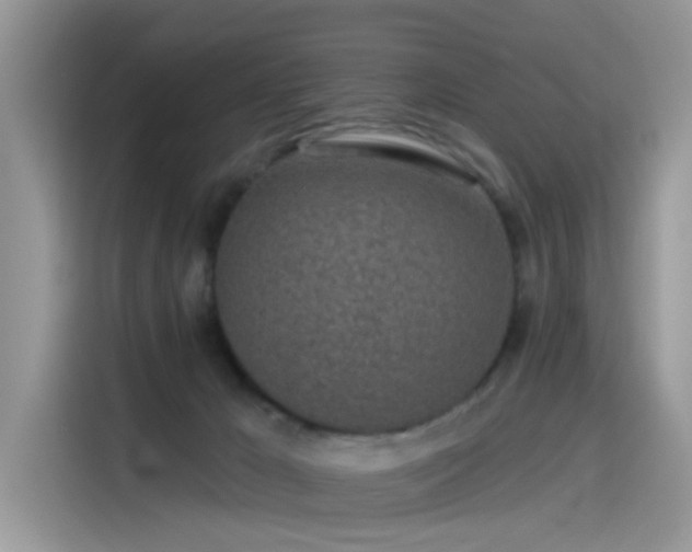 X0000115630029200911171345