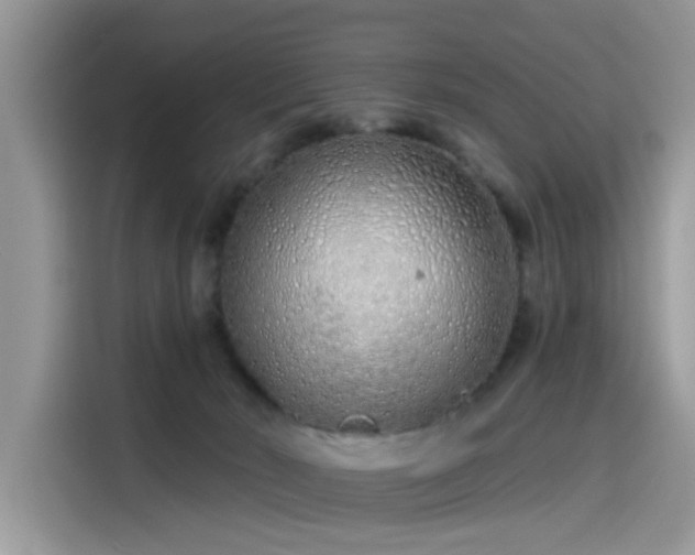 X0000115630030200911171345