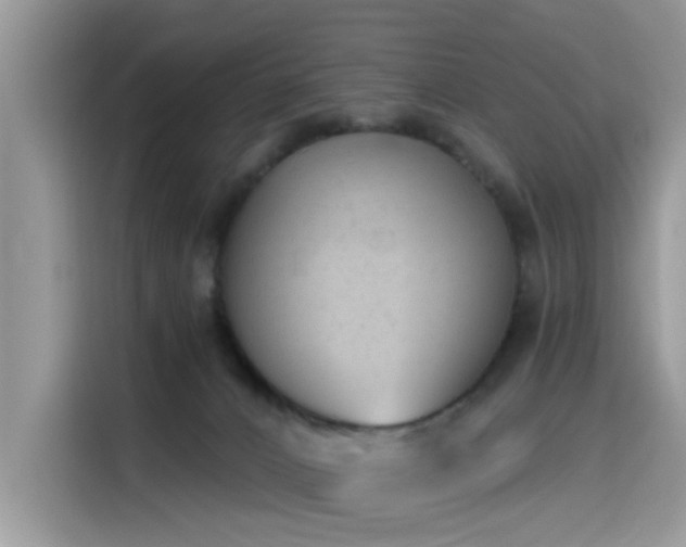 X0000115630032200911171345