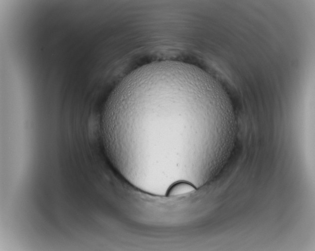 X0000115630034200911171345