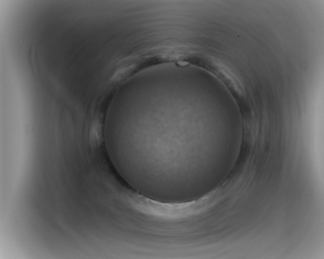 X0000115630035200911171345