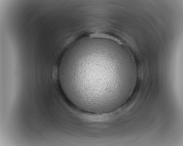 X0000115630036200911171345