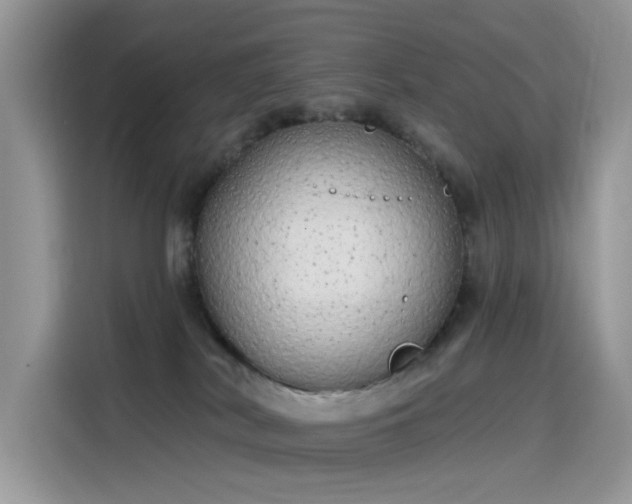 X0000115630038200911171345