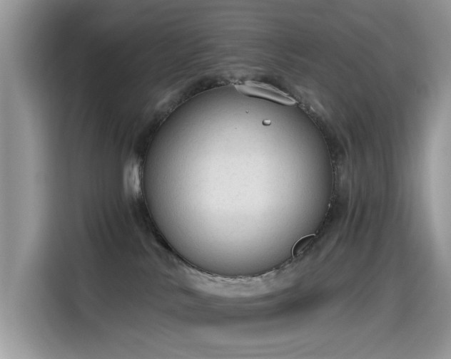 X0000115630042200911171344