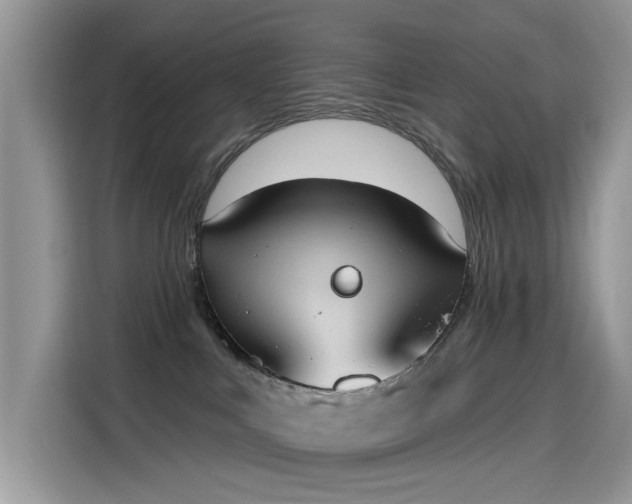 X0000115630043200911171344