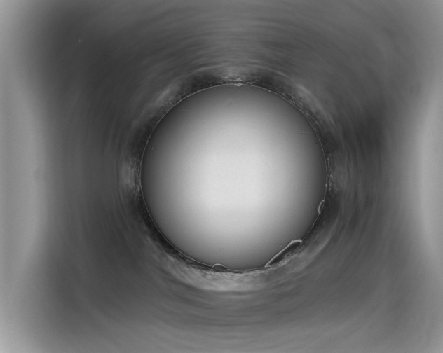 X0000115630044200911171344