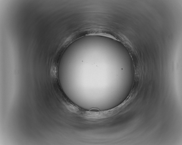 X0000115630045200911171344