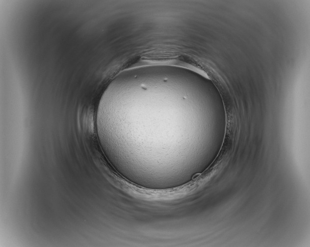 X0000115630046200911171344