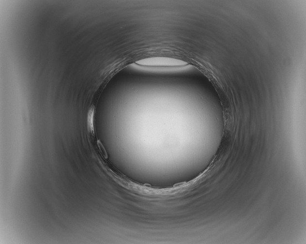 X0000115630047200911171344