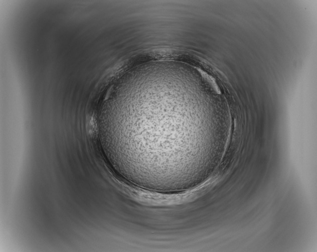 X0000115630048200911171344