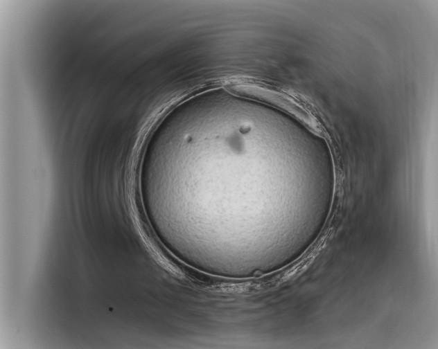 X0000115630049200911171344