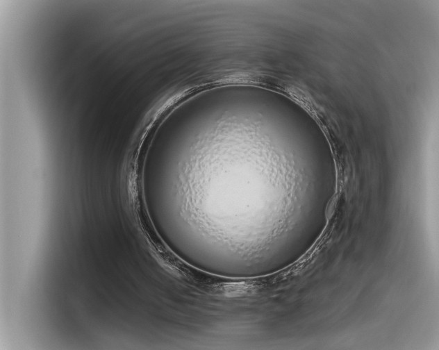 X0000115630050200911171344