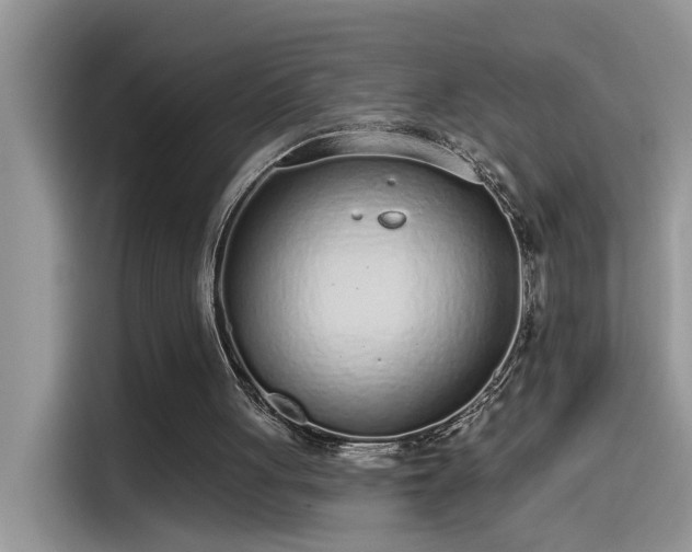 X0000115630051200911171344