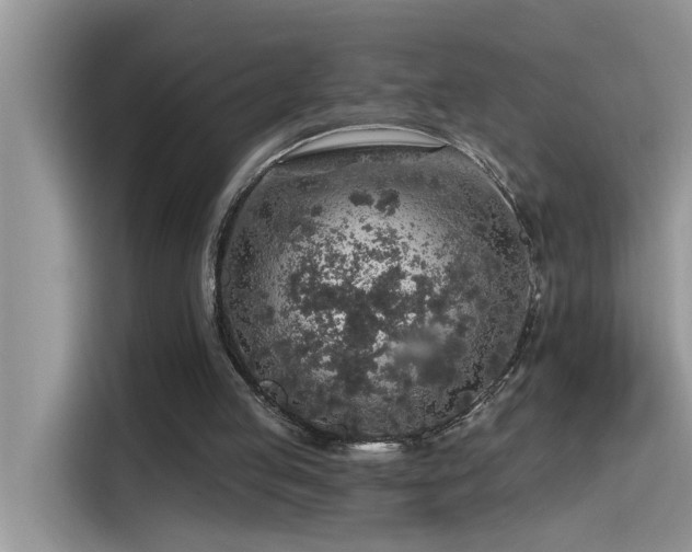 X0000115630053200911171344