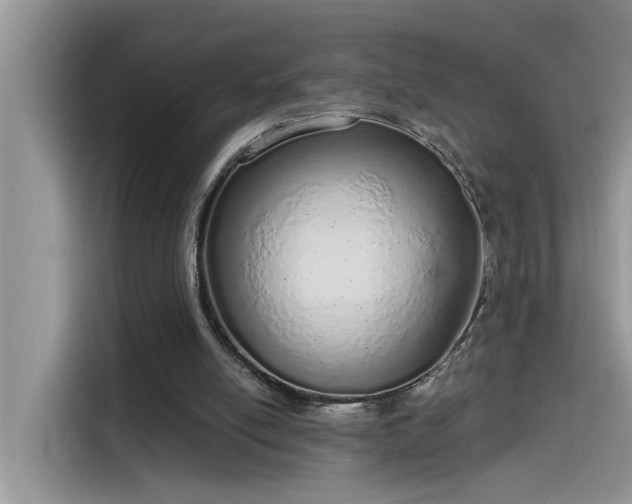 X0000115630054200911171344