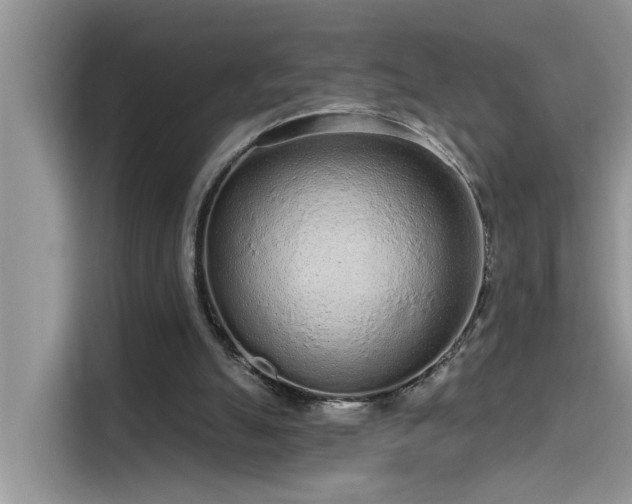 X0000115630055200911171344