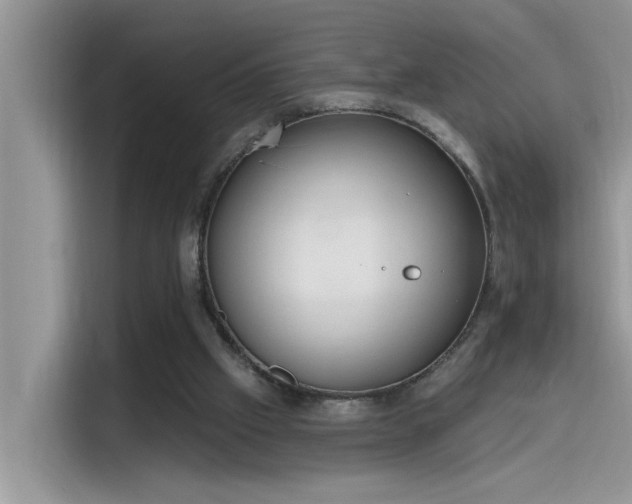 X0000115630057200911171344