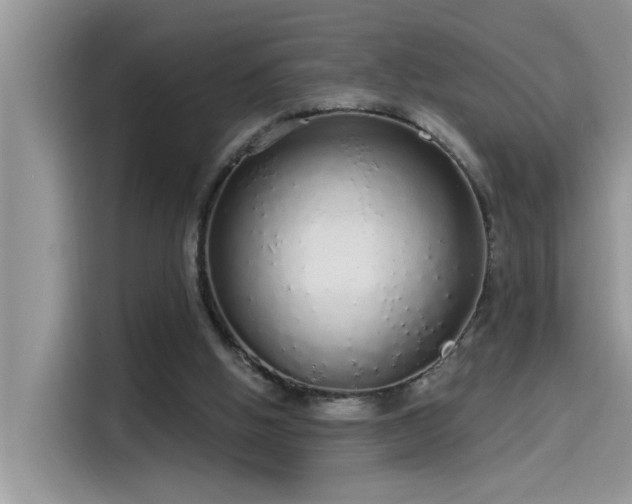 X0000115630058200911171344